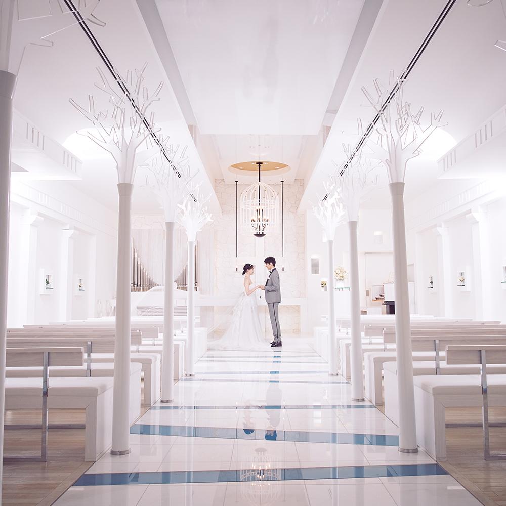 ラ・メゾン天神 11