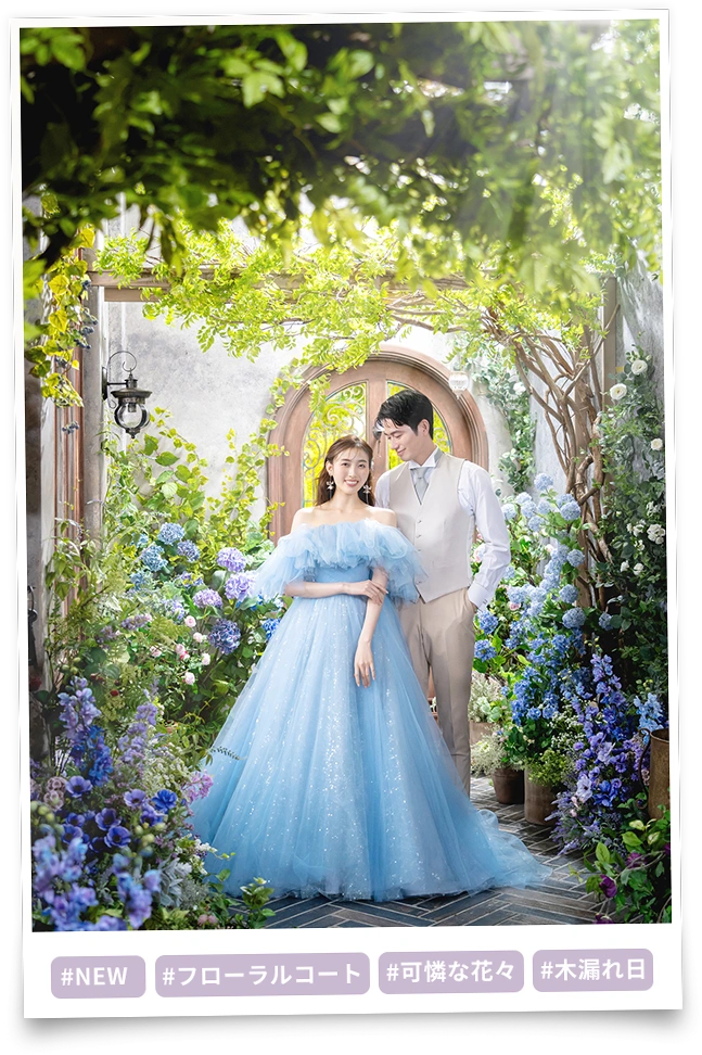 メインキャッチ画像01