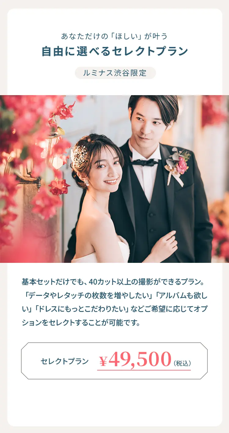 セレクトプラン