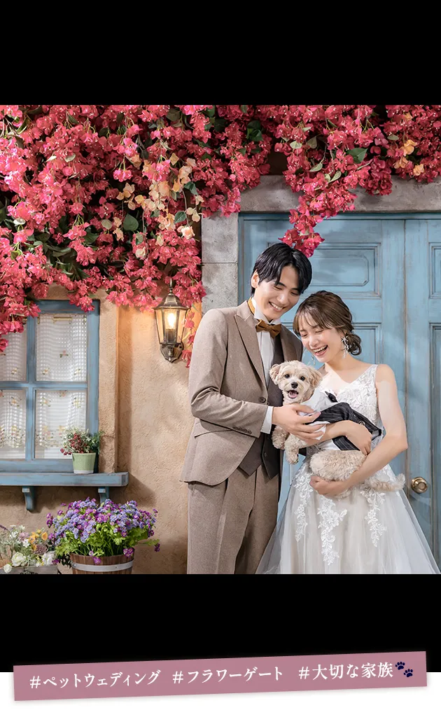 映画のワンシーン_ペット