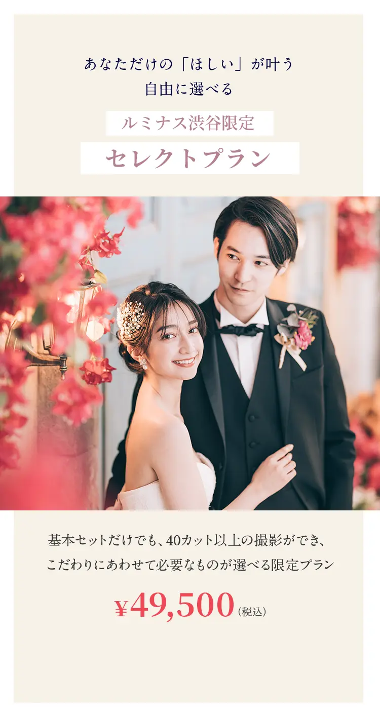 セレクトプラン