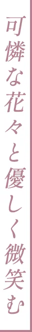 可憐な花々と優しく微笑む