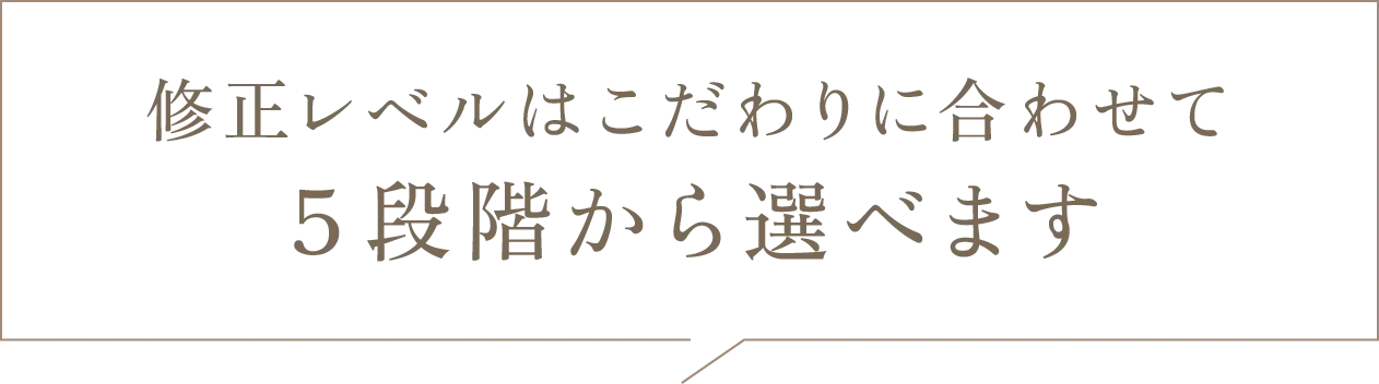 修正レベルはこだわりに合わせて５段階から選べます