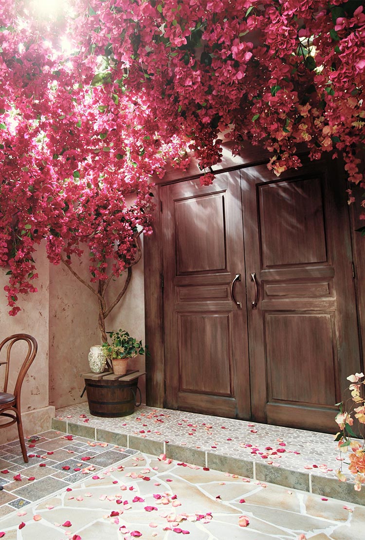 華やかな花々と光の祝福を