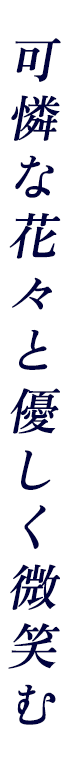 優しく微笑む可憐な花々と