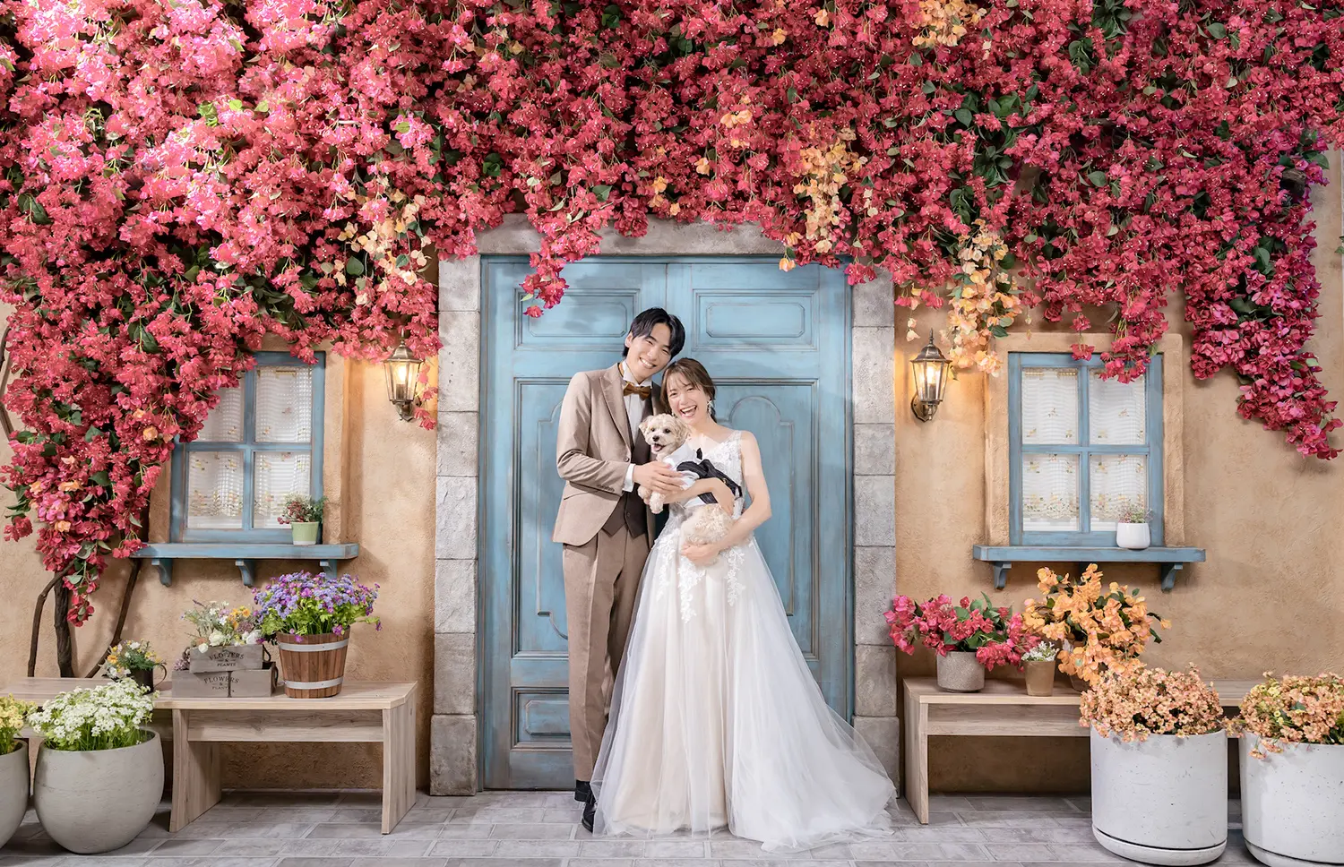 ペットと一緒に心温まるショットKV