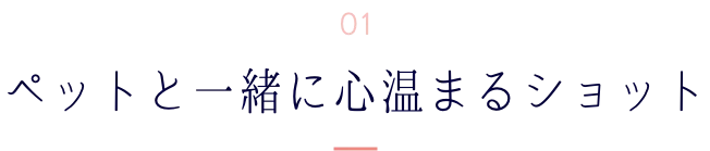 ペットと一緒に心温まるショット