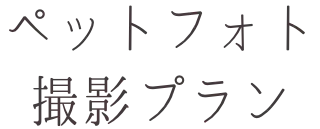 ペット撮影プラン