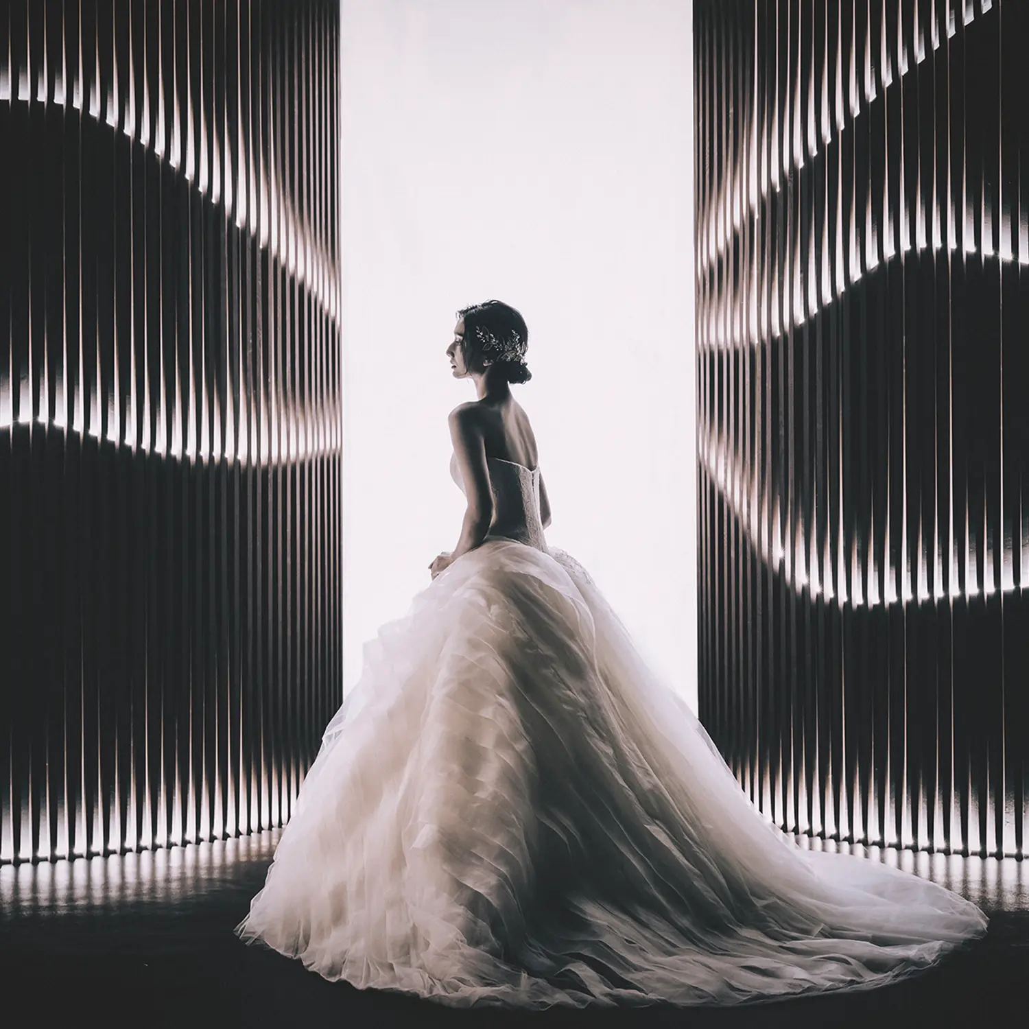 幻想的フォトジェニック